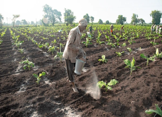 Farmers First: Rural Empowerment & Organic Farming